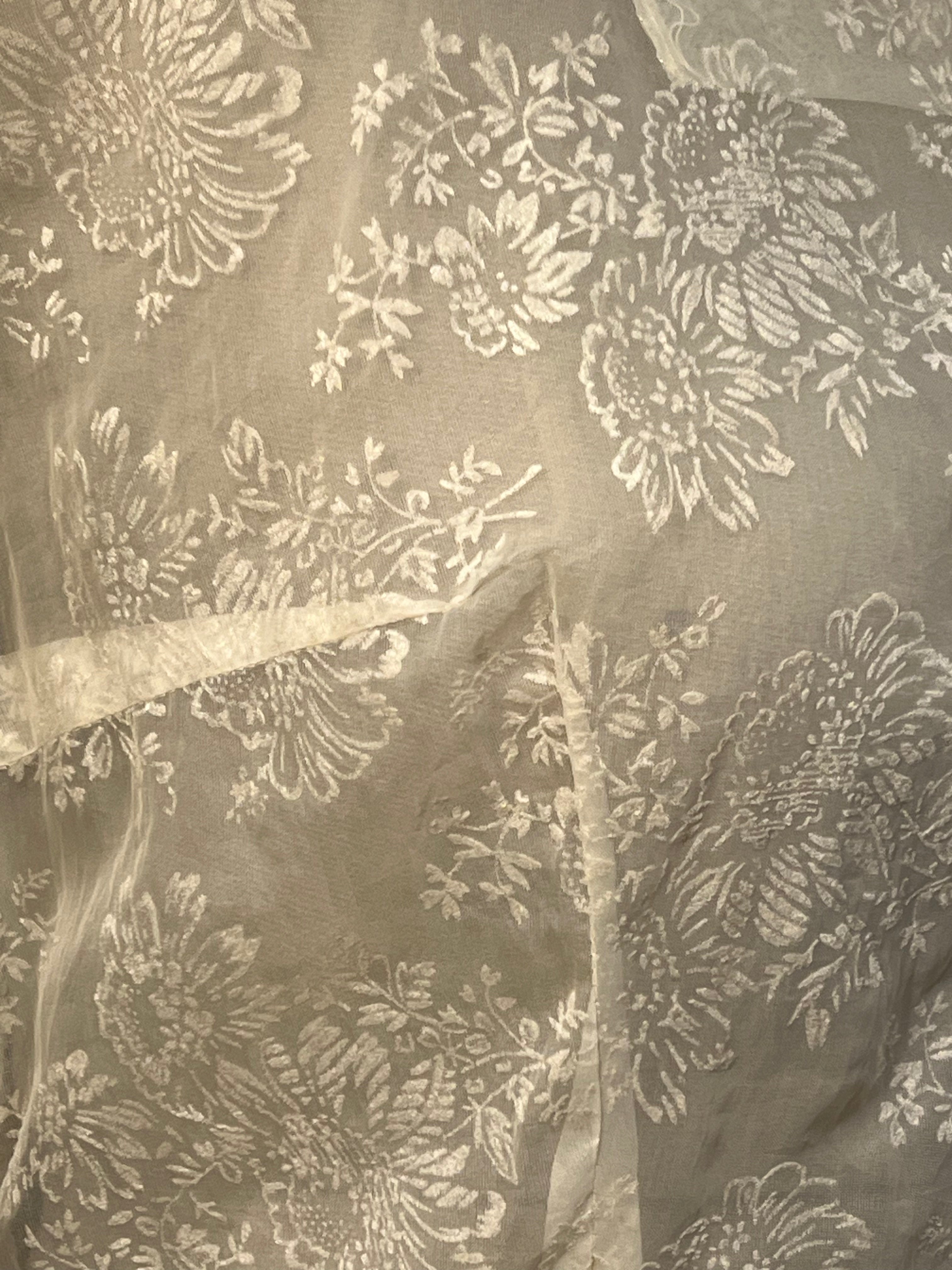 1910s Edwardian Jacquard Silk Organza Dress